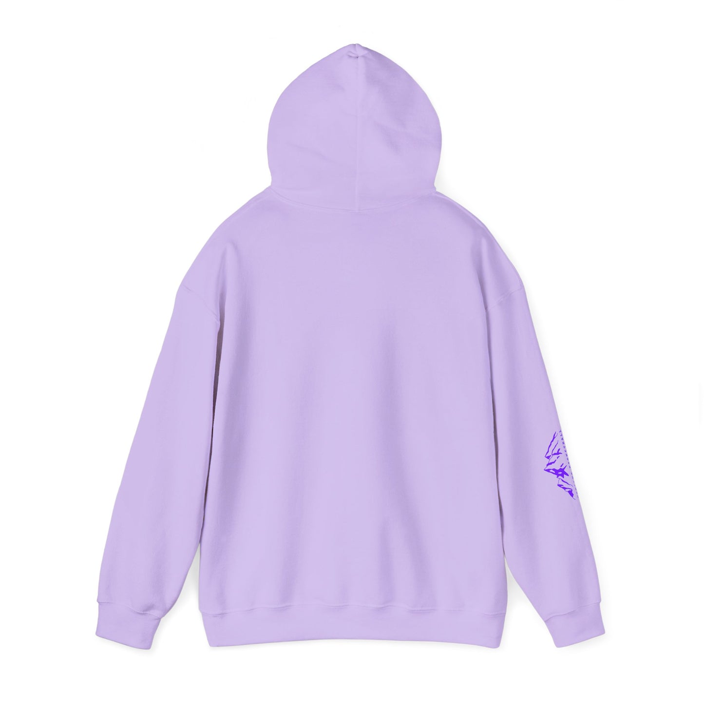 Denver Kodiaks Hoodie